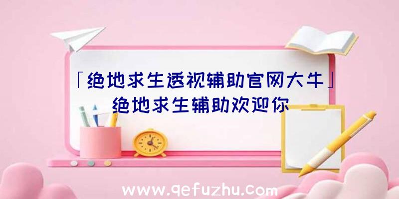 「绝地求生透视辅助官网大牛」|绝地求生辅助欢迎你